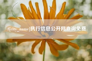 永康执行信息公开网查询免费