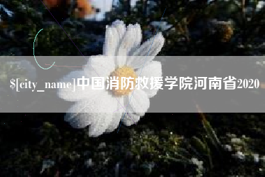 永康中国消防救援学院河南省2020